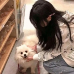 模拟野狼生存手机最新版下载
